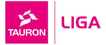 partner-image